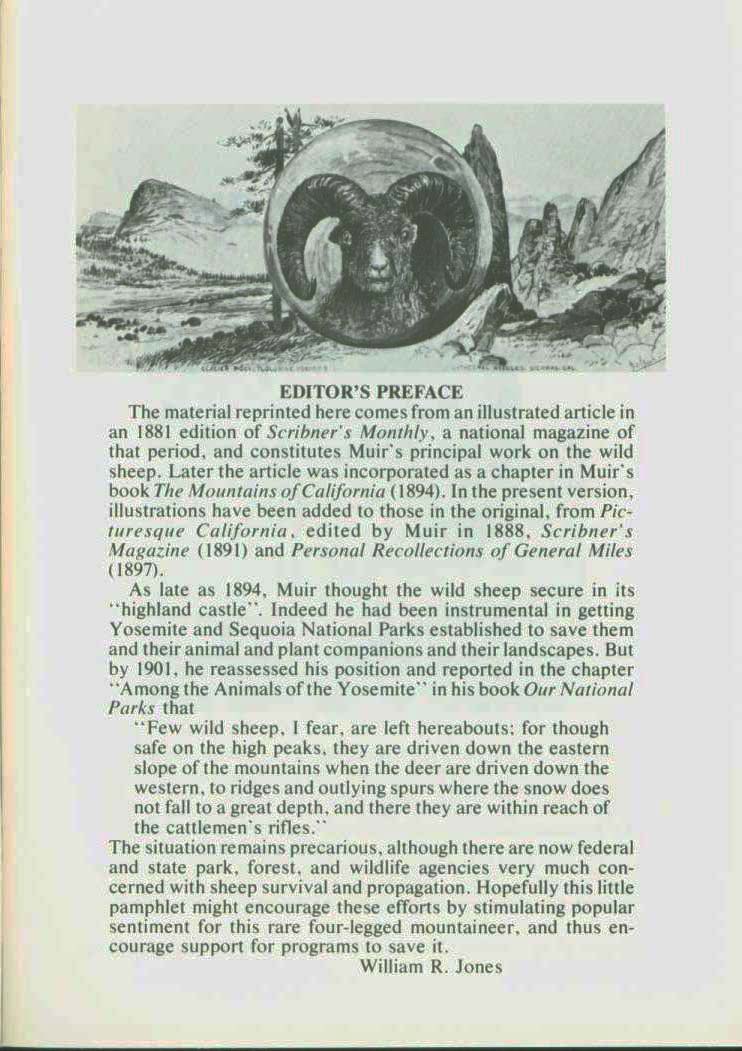 The Wild Sheep--1881. vist0017a